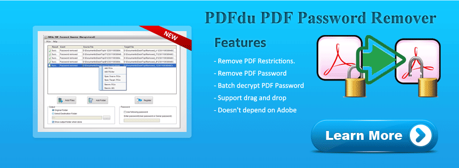  PDFdu PDF Password Remover